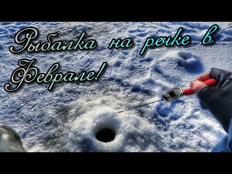 Видео: РЫБАЛКА НА БЕЗМОТЫЛКУ!Теплое солнце,воздух и отличные поклевки рыбы!