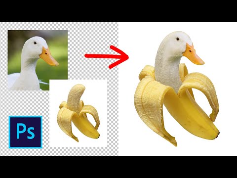 Видео: Коллаж банан+гусь в фотошопе