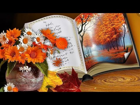 Видео: как сделать осень очаровательной? Заполняю ежедневник my planner.