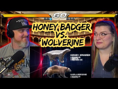 Видео: Кто победит? Медоед против Росомахи @mndiaye_97 | Реакция HatGuy и @gnarlynikki