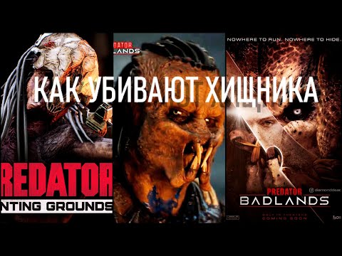 Видео: ПОЧЕМУ ХИЩНИК УМИРАЕТ