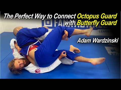 Видео: Идеальный способ соединения Octopus Guard с Butterfly Guard с Адамом Вардзински