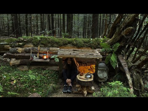 Видео: Укрытие для Выживания в упавшем дереве | Ночую в лагере, готовлю на костре.