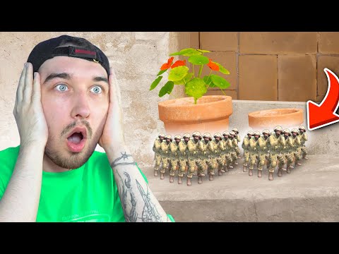 Видео: 30 Карликов Спрятались от Нас в КС2 но Мы все равно их НАШЛИ (CS2)