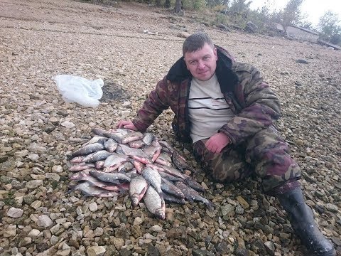 Видео: Ловля леща в октябре на кольцо. ЛЕЩ ЗАРАЖЁННЫЙ ПАРАЗИТАМИ!!!! ЖЕСТЬ!!!!!!