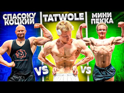 Видео: КТО СИЛЬНЕЕ? TATWOLE vs СПАСОКУКОЦКИЙ vs МИНИ ПЕККА