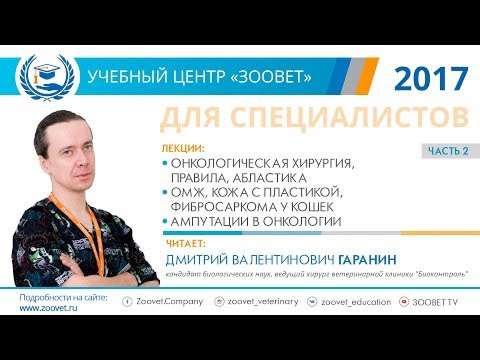 Видео: Д. В. Гаранин в УЦ ЗООВЕТ | Онкология мелких домашних животных. Часть 2/2