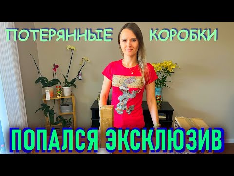 Видео: РАСПАКОВКА ПОТЕРЯННЫХ ПОСЫЛОК  / ПОПАЛСЯ ЭКСКЛЮЗИВ В ПОТЕРЯННЫХ КОРОБКАХ!