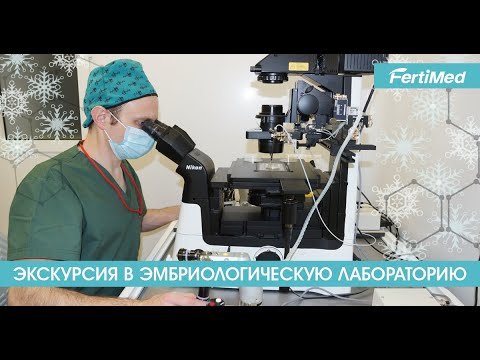 Видео: Экскурсия в эмбриологическую лабораторию.