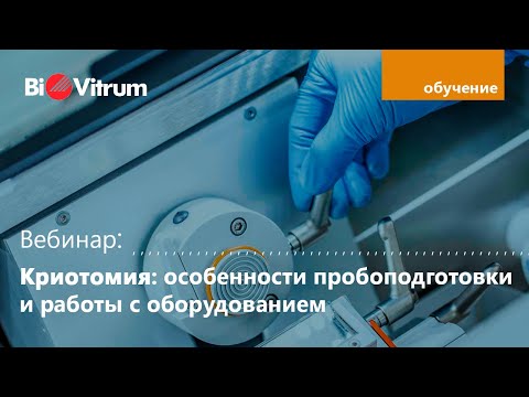 Видео: Криотомия: особенности пробоподготовки и работы с оборудованием