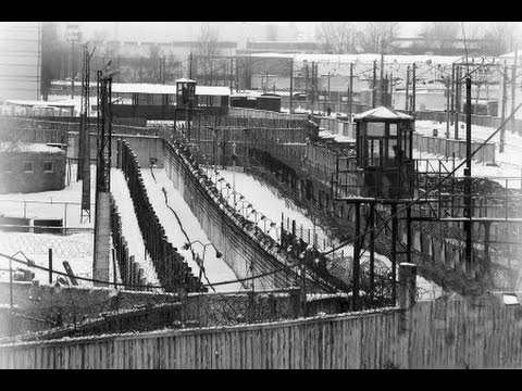 Видео: Колония-Поселение