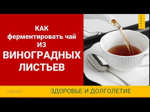 Видео: Ферментированный чай из виноградных листьев Как приготовить