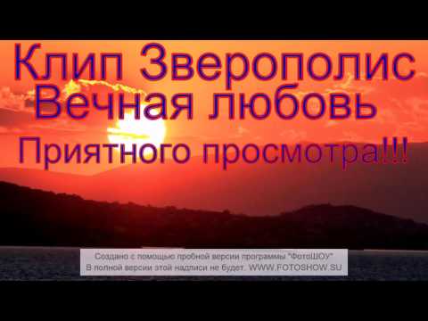 Видео: Клип зверополис Вечная любовь