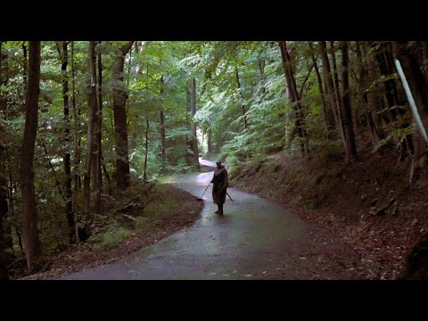 Видео: Вот это я зашёл в лесок, и ПОНЕСЛОСЬ....!