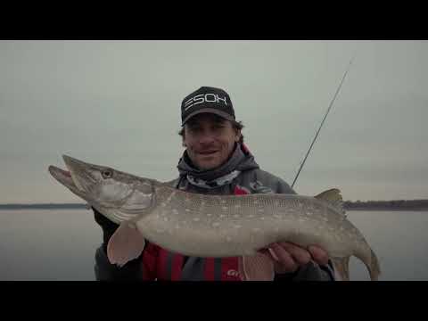 Видео: Ловля щуки перед ледоставом, где искать стоянки щуки осенью. Ловля щуки на джиг. [Пора ловить щук]