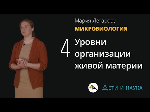 Видео: 4. Уровни организации живой материи.  Мария Летарова - Микробиология 10 - 11 класс