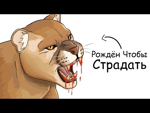 Видео: Ты – Пума (И ЭТО ВСЯ ТВОЯ ЖИЗНЬ)