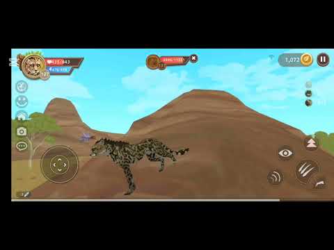 Видео: 26 жовтня 2025 р.