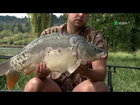 Видео: Шарани на яз.Бистрица-БЕЗДЕН (част 3)