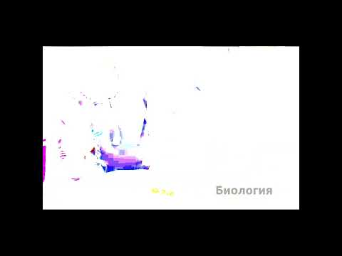 Видео: "Өсімдік жасушасының құрылысы" моделі.  STEM. Биология