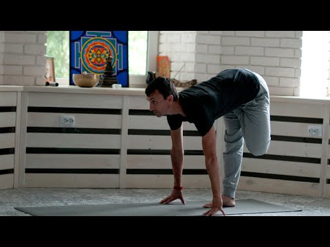 Видео: Занятие по хатха йоге для любого уровня