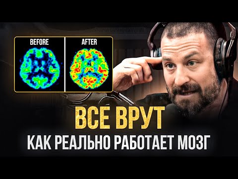 Видео: Нейроученый: Лучший Способ Мотивировать Себя