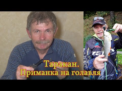 Видео: Константин Кузьмин. Таракан на коленке-2.