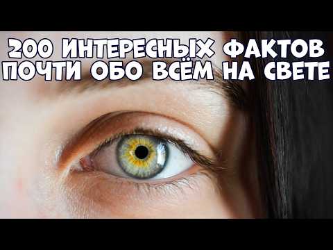 Видео: 200 ИНТЕРЕСНЫХ ФАКТОВ ПОЧТИ ОБО ВСЁМ НА СВЕТЕ