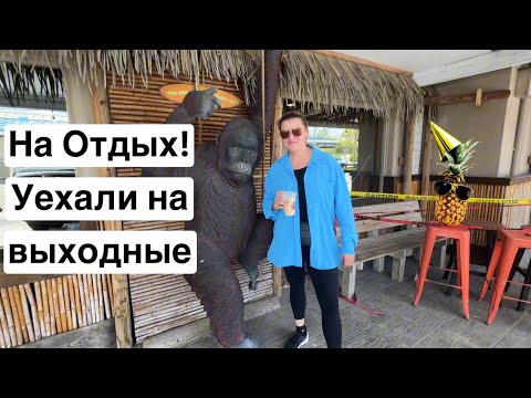 Видео: Ура Поехали отдыхать! Взяли отель за $183 как будто на Мальдивах. Влог США Флорида