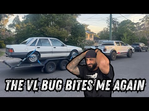 Видео: Я СНОВА ЭТО СДЕЛАЛ! | Еще один проект VL. Он никогда не заканчивается, и я не смог устоять..