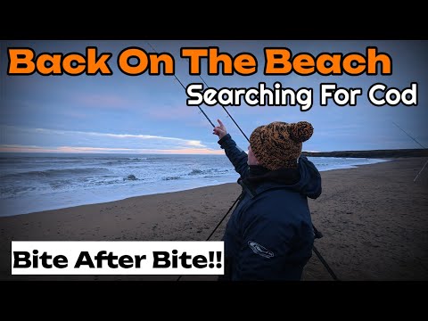 Видео: Морская рыбалка на северо-востоке | Ловля трески | Бесконечный экшн в волнах!