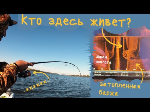 Видео: Кто живет на затопленной барже? Рекордная рыба напарника и съемка подводной камерой. Кама, осень