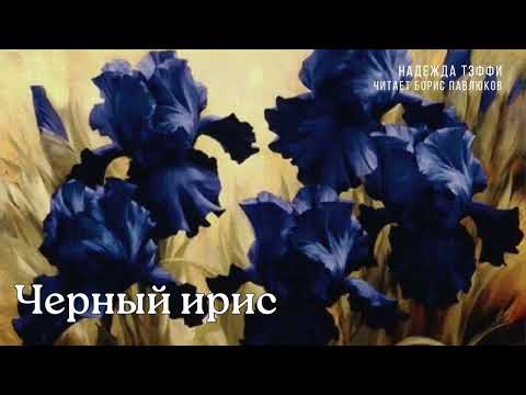Видео: Надежда Тэффи "Черный ирис"