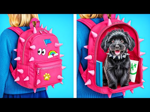 Видео: Мы приютили бездомную собаку! Как ухаживать за домашними питомцами