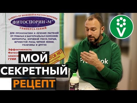 Видео: РАЗБУДИТЕ ФИТОСПОРИН! Простой способ усилить действие биопрепарата в 10 раз!