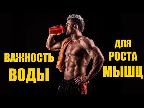 Видео: Важность ВОДЫ для РОСТА МЫШЦ. 10 Факторов