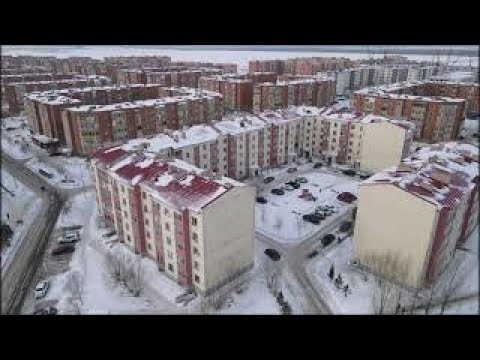 Видео: Қосшы қаласы / город Косшы / Лесная поляна
