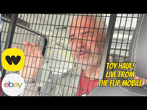 Видео: Видео о продаже игрушек. Перепродажа игрушек на eBay и тому подобное — это мечта.