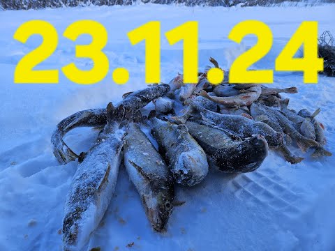 Видео: Рыбалка в Сибири !!! Река Лена .