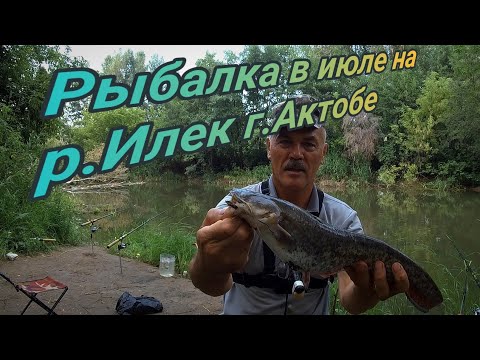 Видео: Ночная рыбалка в июле на р Илек  Ловля на донку, сом, карась, подлещик  г Актобе 2024г