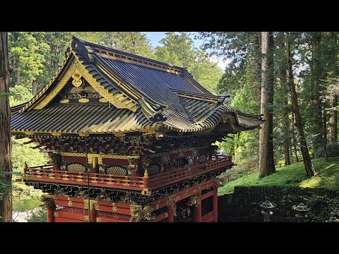 Видео: Никко жемчужина Японии, прогулка и обзор / Nikko, Japan Oct.2023