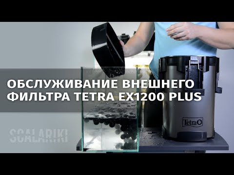 Видео: Как я обслуживаю внешний фильтр Tetra ex1200 plus. Видео-ответ Виталию Green Art