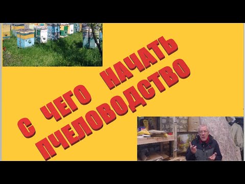 Видео: С чего начать пчеловодство. #1 Инвентарь. Секреты успешного старта в пчеловодстве для новичков.