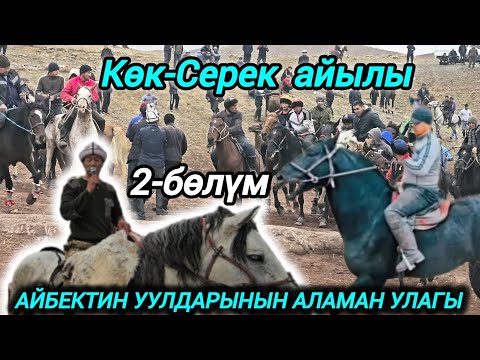 Видео: Көк-Серек айылы Айбектин уулдарынын аламан улагы 2-бөлүм