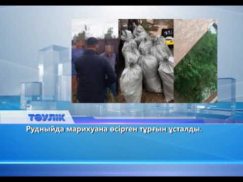 Видео: Тәулік (Рика ТВ) 8 қазан 2025 жыл