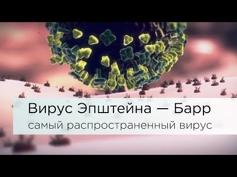 Видео: Вирус Эпштейна – Барр.  Самый распространенный вирус