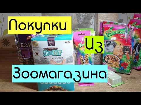 Видео: ПОКУПКИ ИЗ ЗООМАГАЗИНА//ПОКУПКИ ДЛЯ ГРЫЗУНОВ//ЗООПОКУПКИ