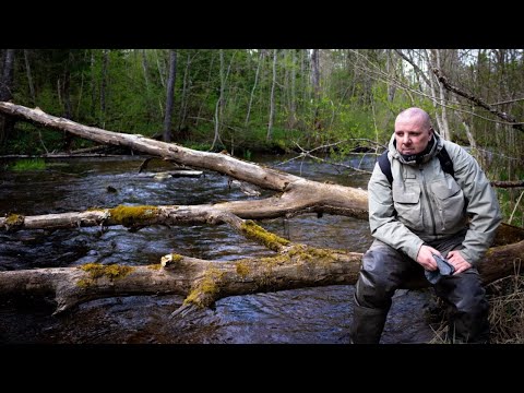 Видео: Бывает и такая рыбалка. Форель в Ленинградской области.