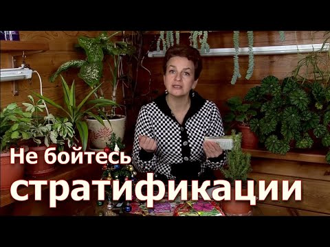 Видео: Не бойтесь стратификации