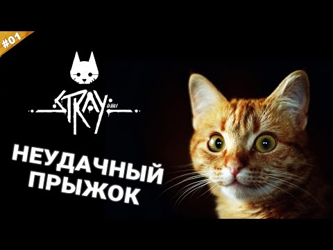 Видео: НЕУДАЧНЫЙ ПРЫЖОК | Прохождение STRAY на русском языке | Часть 01
